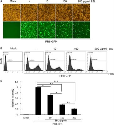 <mark class="highlighted">Broccoli</mark> Leaves Attenuate Influenza A Virus Infection by Interfering With Hemagglutinin and Inhibiting Viral Attachment